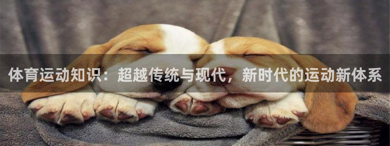xc体育app官方网站：体育运动知识：超越传统与现代，新时代的运动新体系