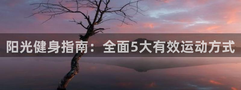 xc体育