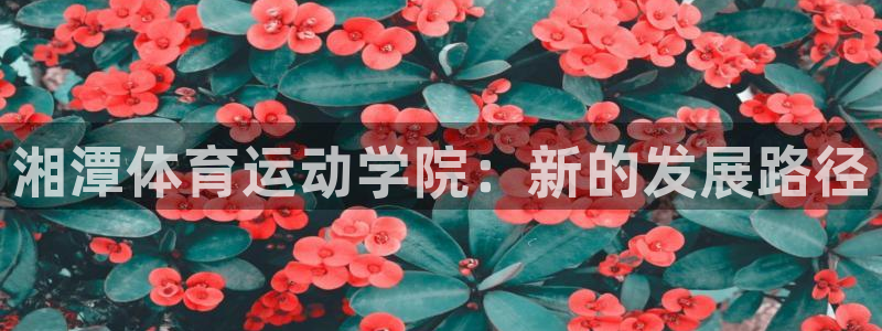 xc体育