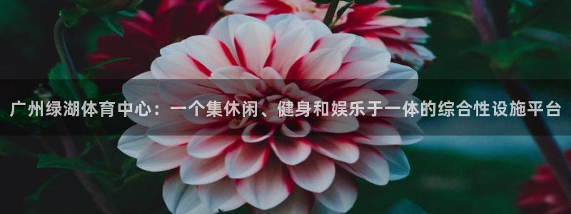 xc体育app官方网站：广州绿湖体育中心：一个集休闲、健身和娱乐于一体的综合性设施平台