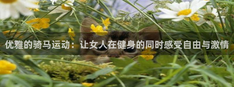 xc体育