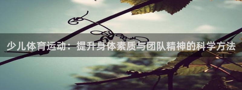 xc体育：少儿体育运动：提升身体素质与团队精神的科学方法