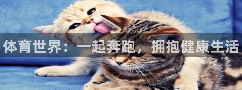 xc体育app官方网站：体育世界：一起奔跑，拥抱健康生活