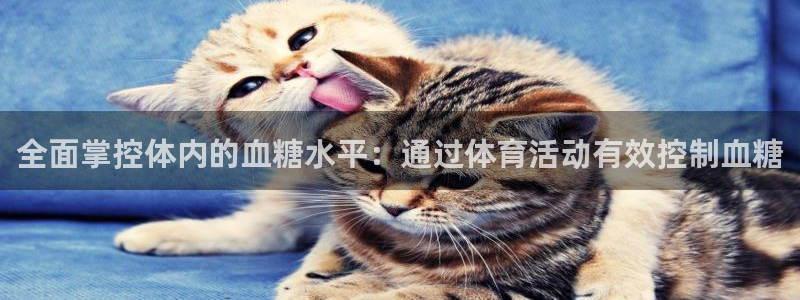 xc体育app官方网站