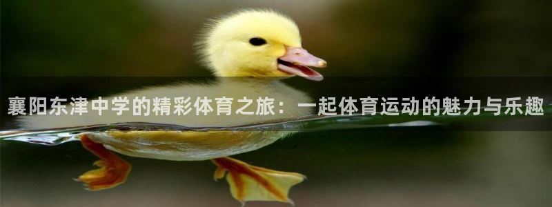 xc体育app官方网站