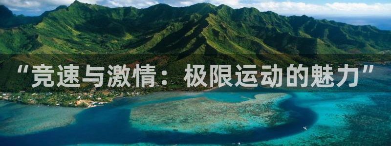 xc体育app官方网站